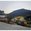 원골힐링캠프 이미지