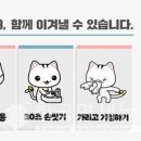 영광사알파