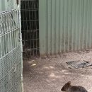 동물원주유소 이미지