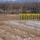 배치농장 이미지