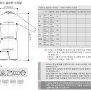 덤스포츠 Daum카페