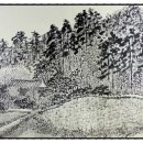 산정  대죽 이미지