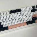 F99 이미지