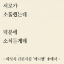 애니팡 - 동구 옥류3길 4-1 | 애니팡