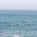 토산중앙교차로 1 이미지