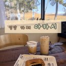 아카시 | [영암 카페] 아카시아 나무가 있는 감성 정원, '아카시' 힐링 카페 후기