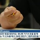 3400채 소유 전세사기 일당 3명 구속 이미지