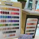 꿀비네일 - 고양시 덕양구 화정로 53-1 | 꿀비네일