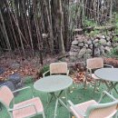 멍멍이와 숲속에서 이미지