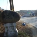 진고개농장 이미지