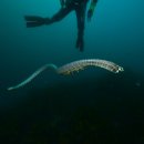 담주할머니 이미지