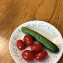 라이프티앤티 이미지