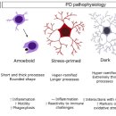 Re:Microglial Implication in Parkinson’s Disease: Loss of Beneficial Physiological Roles or Gain of Inflammatory Functions? 이미지