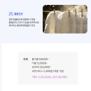 드라이데이세탁전문 이미지