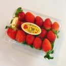 제니스스퀘어 | [내돈내산] 일산제니스점 장봐주는언니 이용방법 및 매장 방문 후기