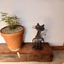 강문소소담 이미지