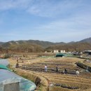 냉천주유소 이미지