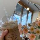 카페멜로이