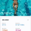 수영114 이미지