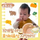 10개월 아기 후기이유식 넘어가기: 중기 vs 후기 입자감 비교 (feat. 로하스밀)