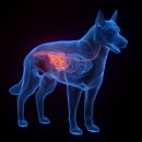 광장동물병원 이미지