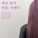 디자인제이앤에스 이미지