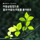 마음살림