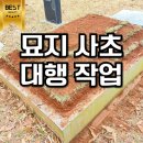 수목묘지공사 | 묘지 사초 작업 비용 산소 무덤 작업 대행 업체