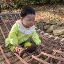 지리산정원 유아숲체험원 이미지