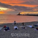 제주관광공사 이미지