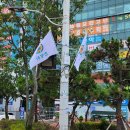 횡단보도 앞 이미지