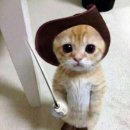 BOXING STORY 이미지