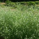 순이하우스 이미지