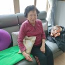 대송면행정복지센터 이미지