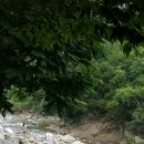 삼일민박 이미지