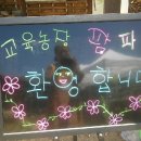 풀과꽃이야기