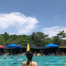 대양로 | [수영] 서울 근교 취사 가능 실외 수영장 고양 통일로워터파크(통일로수영장) 방문 후기