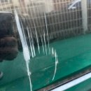 한진자동차공업사 | 인천 서구 청라 BMW 보험수리 - 수입차 판금도색 전문 공업사