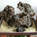 화산석(석부작/큰수조조경용)분양 이미지