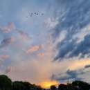 궁남지 서문주차장 화장실 이미지