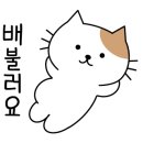 청년찌개(하양점)