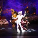 가족 뮤지컬 어린이 캣 이미지