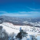 휘닉스파크 이미지