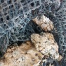 한진1리 이미지