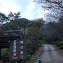 가을의 온새미로 이미지