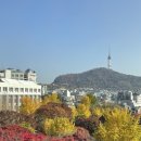 11월 중순 가을 말