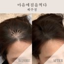 마음에점을찍다제주점