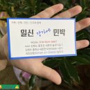 일신민박 | 홍천 일신강가에 민박 물놀이하며 다슬기 잡기