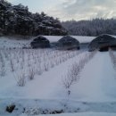 야호농장 이미지