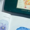 색연필로 쉽게 따라 그리는 꽃그림 이미지